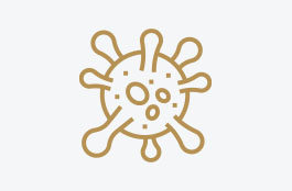 Symbol image for the coronavirus information of the Kuzbari Centre